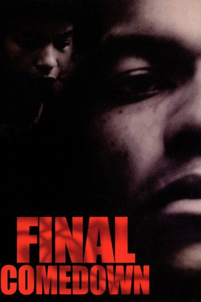 Póster de The Final Comedown