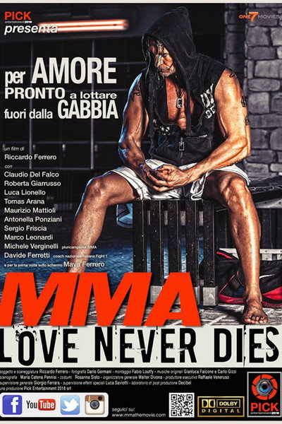 Póster de The Final Fight