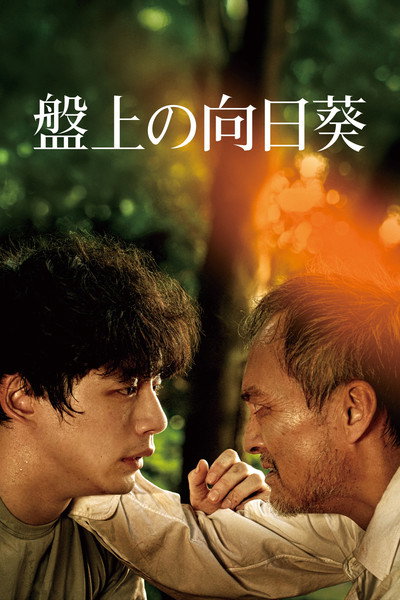 Póster de The Final Piece