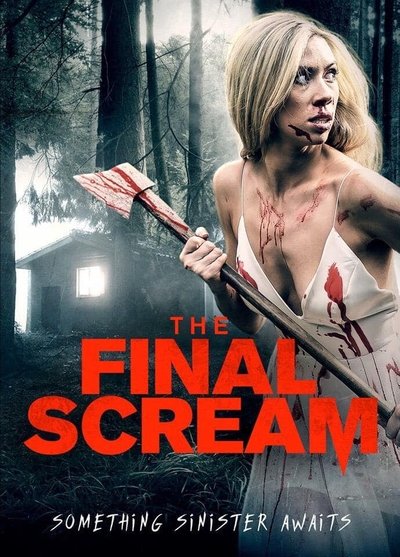 Póster de The final scream