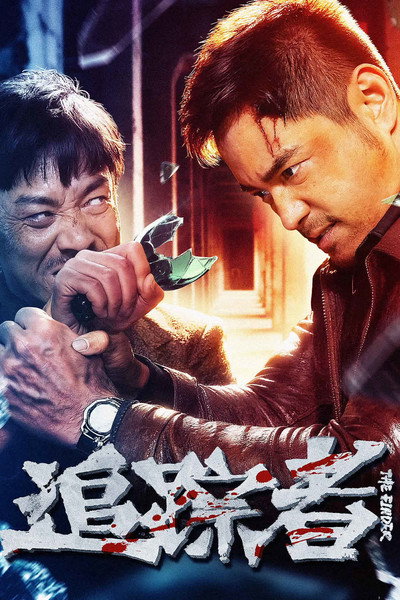 Póster de The Finder
