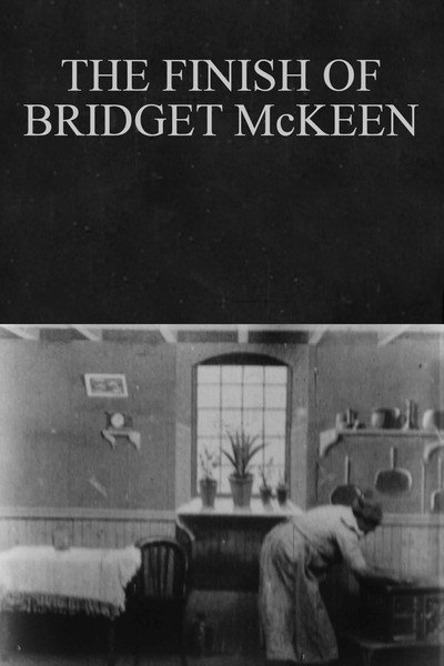 Póster de The Finish of Bridget McKeen
