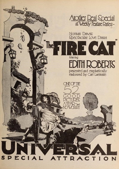 Póster de The Fire Cat
