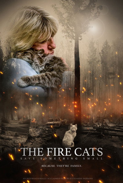 Póster de The Fire Cats