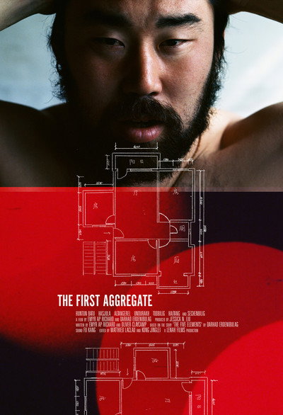 Póster de The First Aggregate