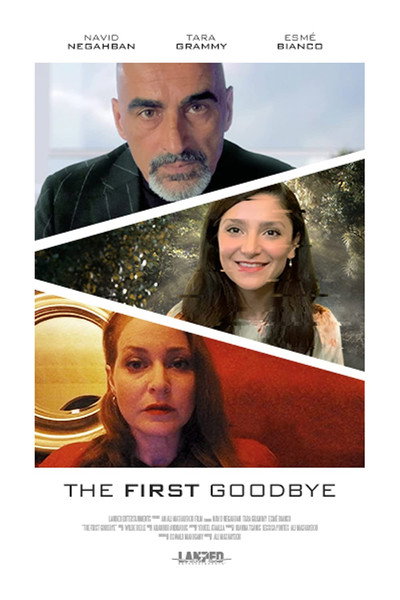 Póster de The First Goodbye