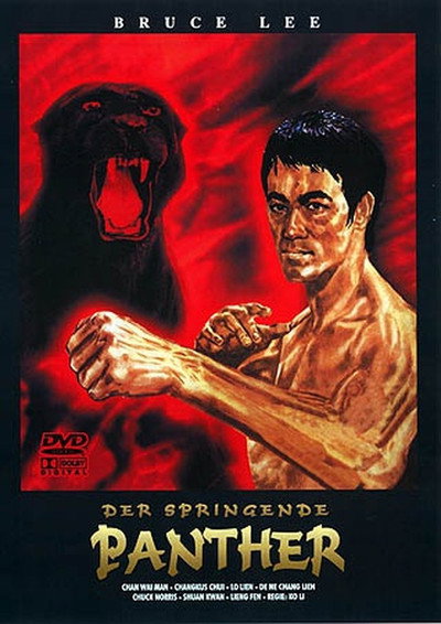 Póster de The Fist of Justice