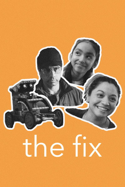 Póster de The Fix