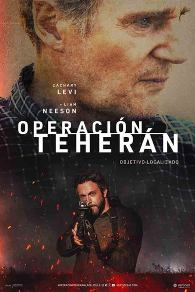 Póster de The Fix