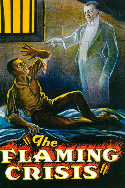 Póster de The Flaming Crisis