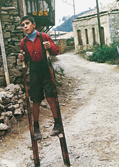 Póster de The Flea