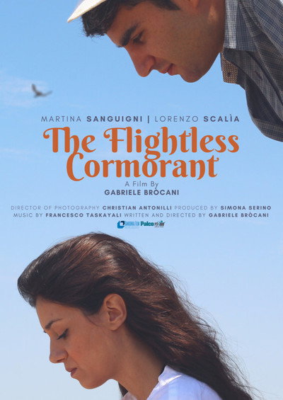 Póster de The Flightless Cormorant