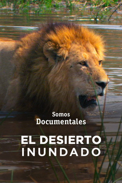 Póster de The Flooded Desert