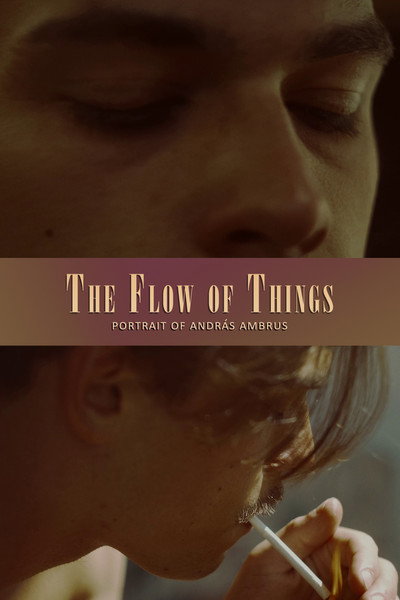Póster de The Flow of Things