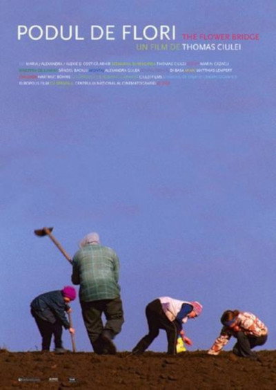 Póster de The Flower Bridge