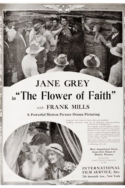 Póster de The Flower of Faith