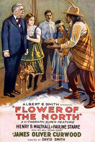 Póster de The Flower of the North