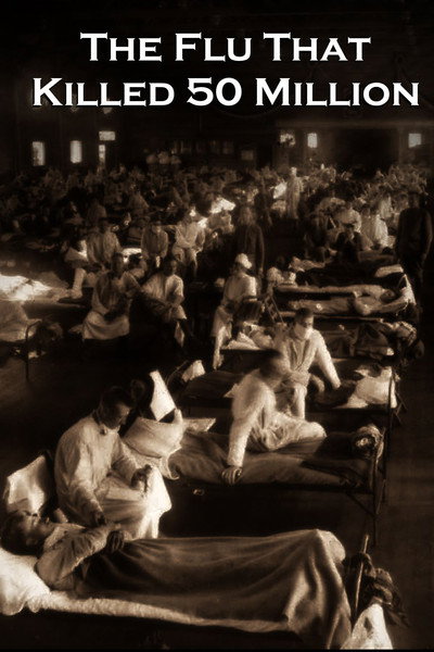 Póster de The Flu That Killed 50 Million