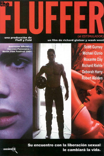 Póster de The Fluffer (El estimulador)