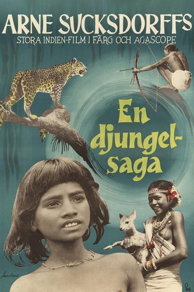 Póster de The Flute and the Arrow