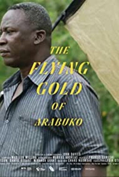 Póster de The Flying Gold of Arabuko