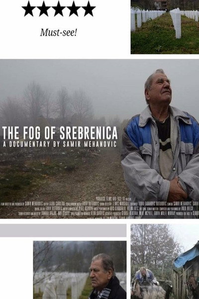 Póster de The Fog of Srebrenica