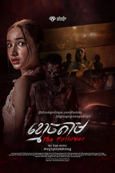 Póster de The Follower