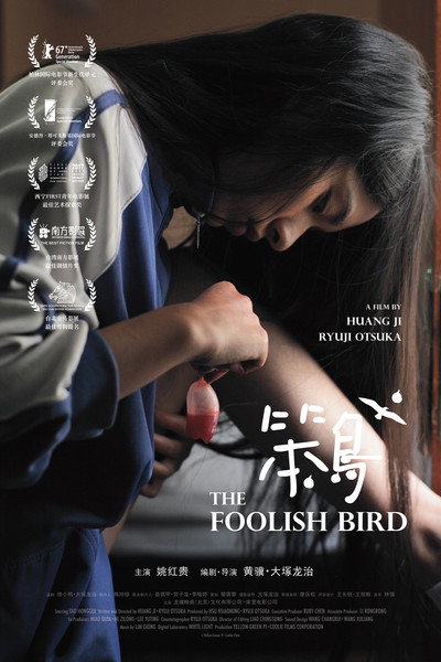 Póster de The Foolish Bird
