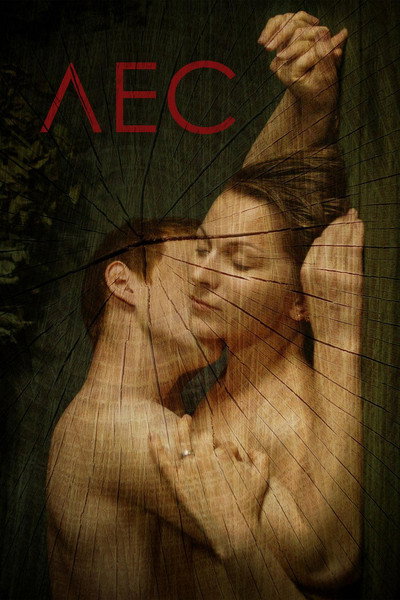 Póster de The Forest