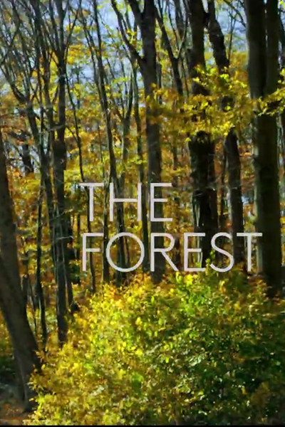 Póster de The Forest