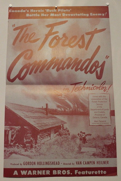Póster de The Forest Commandos
