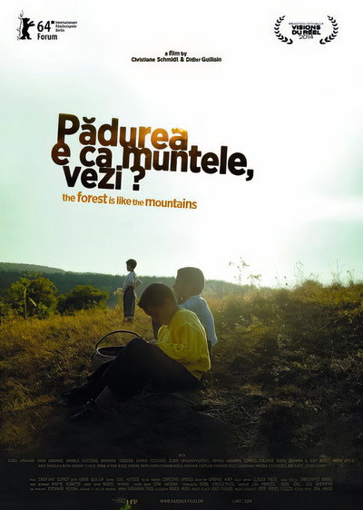 Póster de The Forest Is Like the Mountains