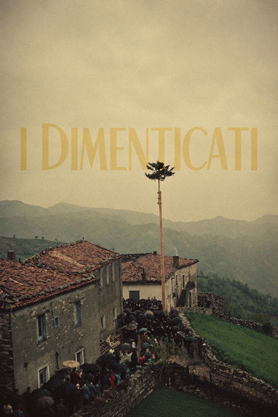 Póster de The Forgotten