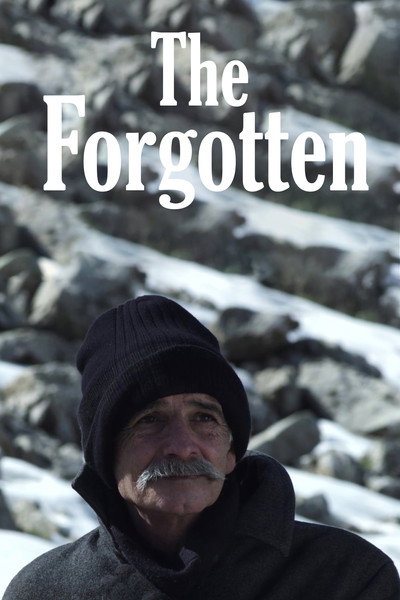 Póster de The Forgotten