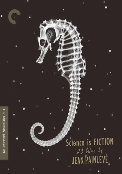 Póster de The Fourth Dimension