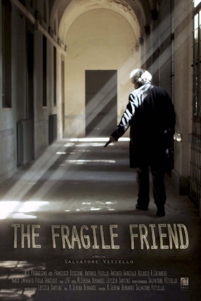 Póster de The Fragile Friend