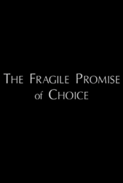 Póster de The Fragile Promise of Choice: Abortion in the United States Today
