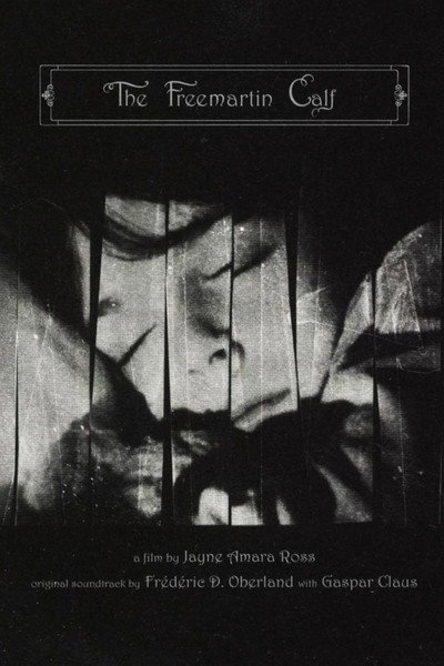 Póster de The Freemartin Calf