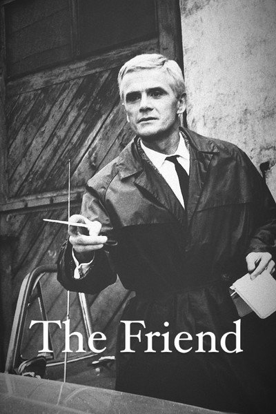 Póster de The Friend