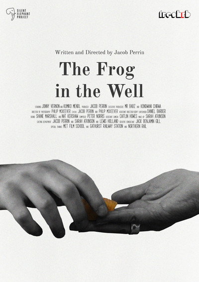 Póster de The Frog in the Well