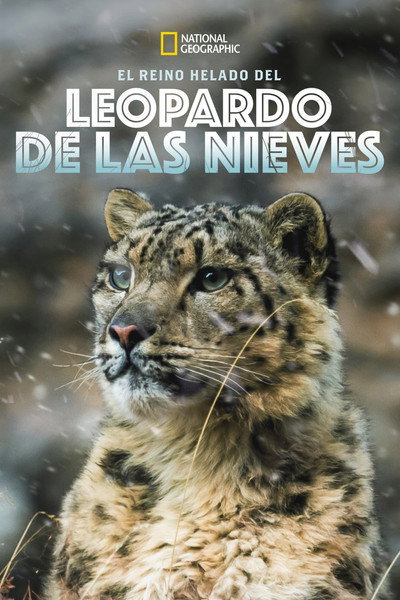 Póster de The Frozen Kingdom of the Snow Leopard
