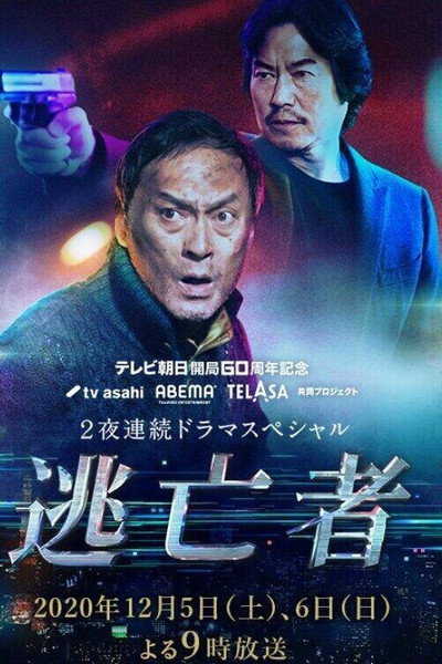 Póster de The Fugitive