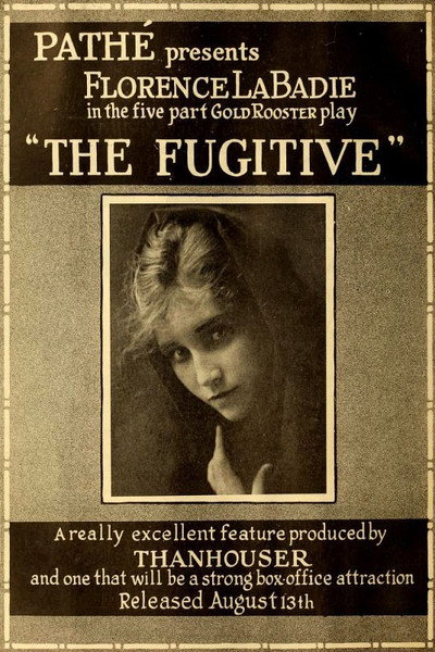 Póster de The Fugitive