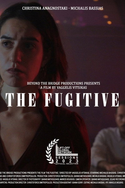 Póster de The Fugitive