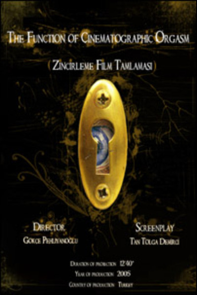 Póster de The Function of Cinematographic Orgasm