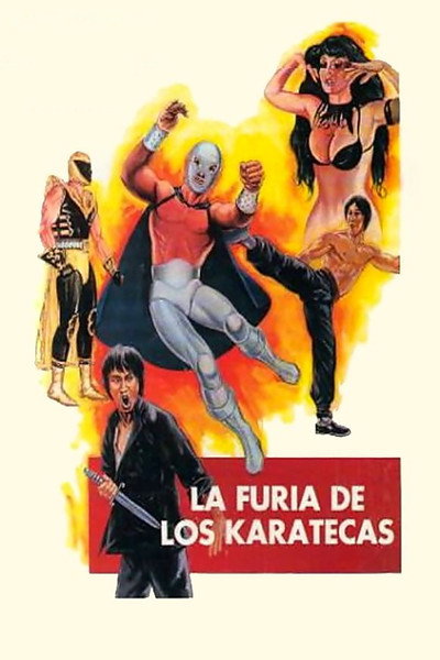 Póster de The Fury of the Karate Experts