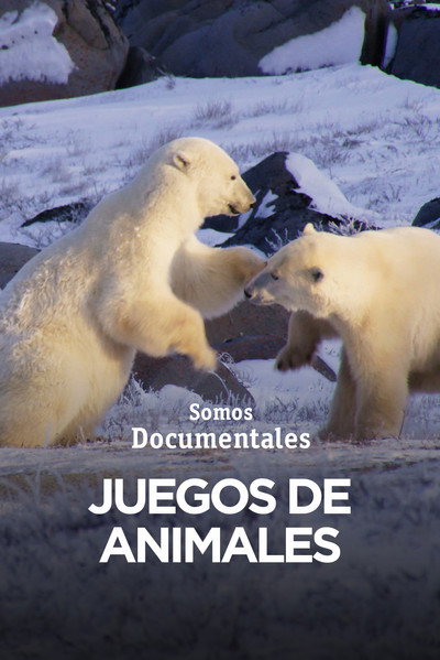 Póster de The Games Animals Play