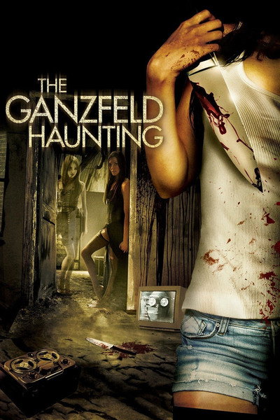 Póster de The Ganzfeld Haunting