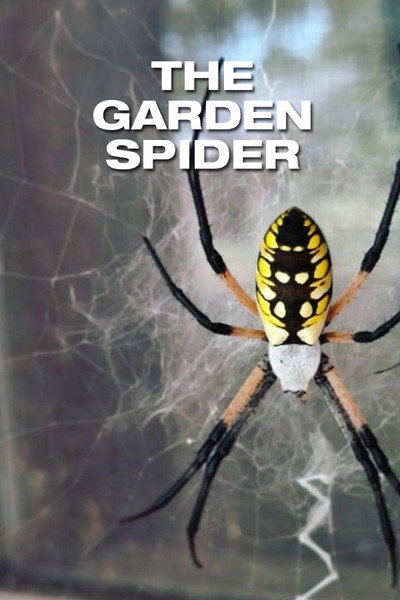 Póster de The Garden Spider