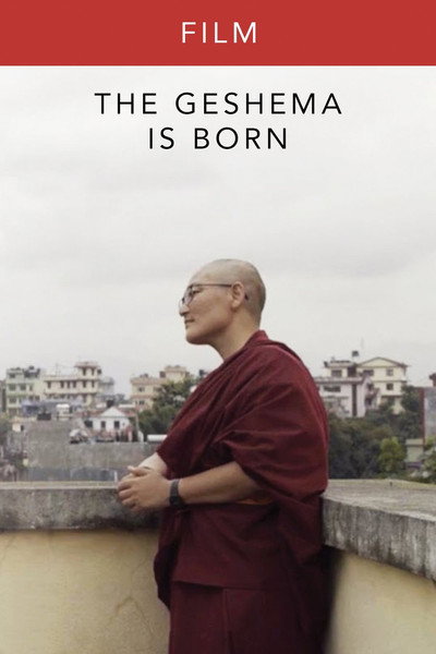 Póster de The Geshema Is Born